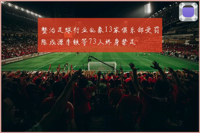 整治足球行业乱象13家俱乐部受罚陈戌源李铁等73人终身禁足