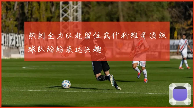 热刺全力以赴留住武什科维奇顶级球队纷纷表达兴趣